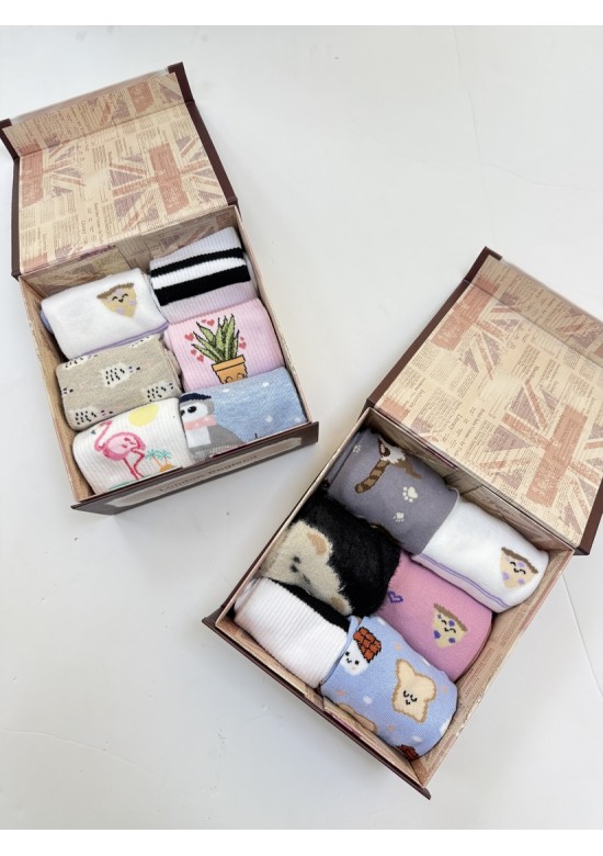 Caja 6 Calcetines Mujer